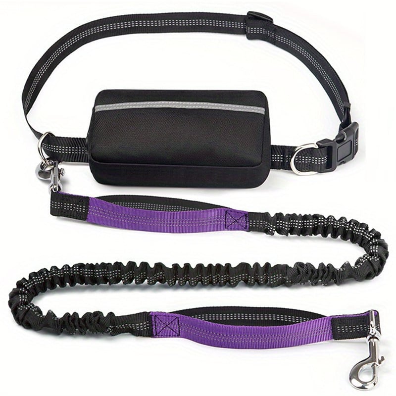 Smart Hands-Free Dog Leash with Shock Absorbing Bungee