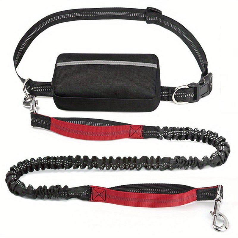 Smart Hands-Free Dog Leash with Shock Absorbing Bungee