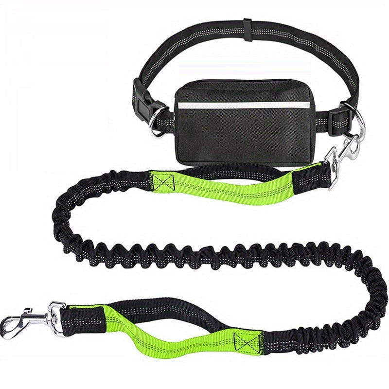 Smart Hands-Free Dog Leash with Shock Absorbing Bungee