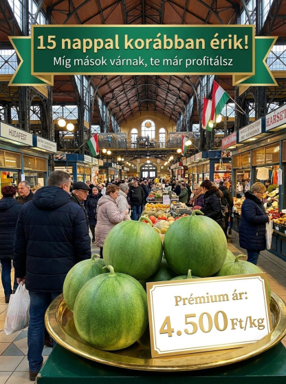 【Méznél is édesebb】Zöld smaragddinnye magok