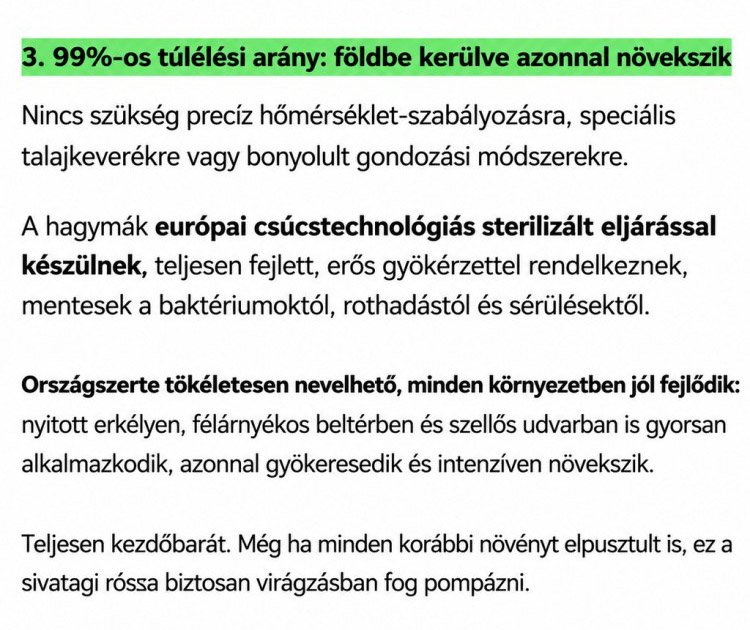 42ee8233-78d9-467c-9d7f-a73a1d464e03.jpg