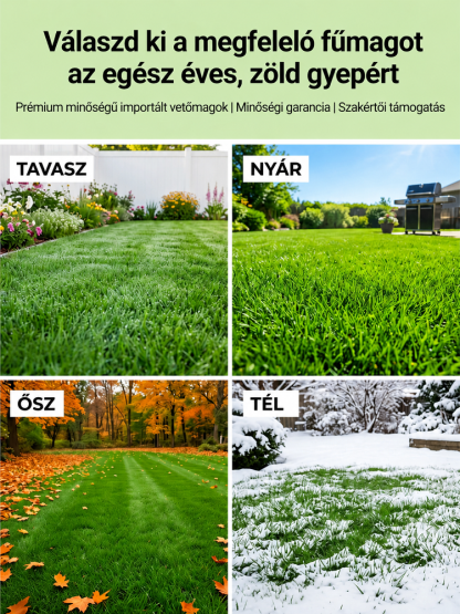 [7 nap alatt ZÖLD] Német öngyógyító bermudafű mag | 99% csírázás, 40°C-álló & kutyabarát