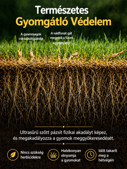 [7 nap alatt ZÖLD] Német öngyógyító bermudafű mag | 99% csírázás, 40°C-álló & kutyabarát