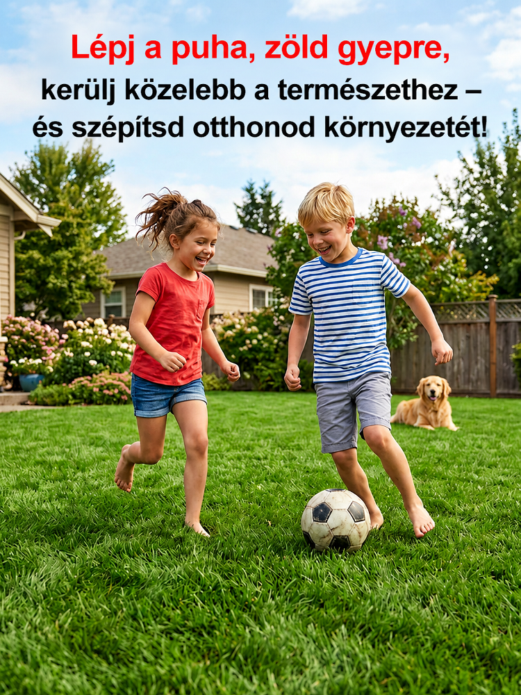 [7 nap alatt ZÖLD] Német öngyógyító bermudafű mag | 99% csírázás, 40°C-álló & kutyabarát