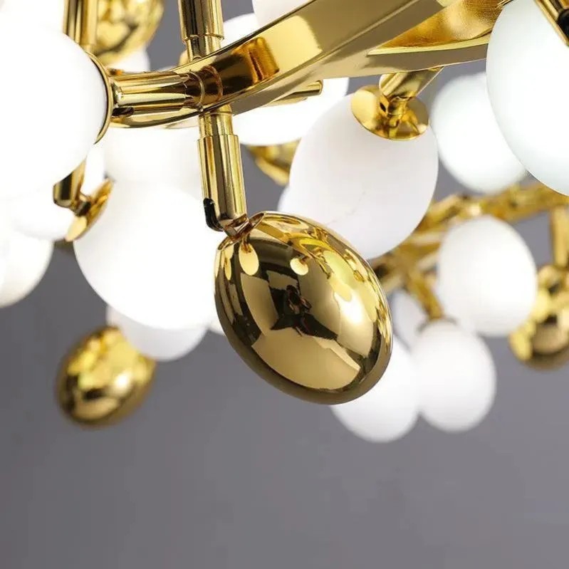 Escamoles  Round Modern Grape Branch Chandelier