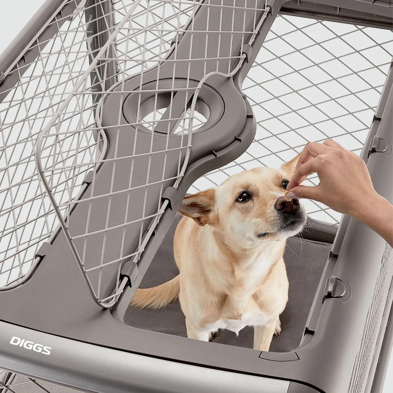 Collapsible Dog Crate with Wheels - Premium Portable Dog Crate - Safe, Stylish, and Convenient Indoor Kennel