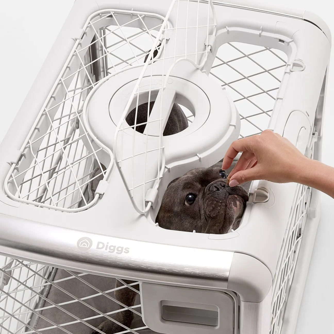 Collapsible Dog Crate with Wheels - Premium Portable Dog Crate - Safe, Stylish, and Convenient Indoor Kennel