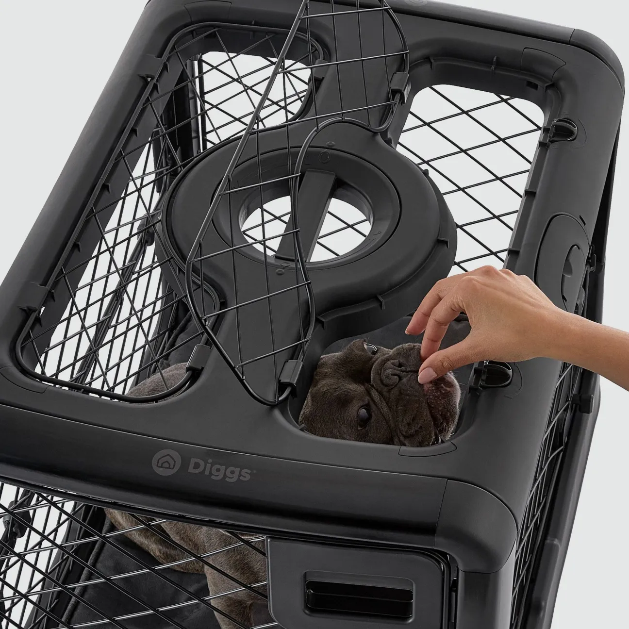 Collapsible Dog Crate with Wheels - Premium Portable Dog Crate - Safe, Stylish, and Convenient Indoor Kennel