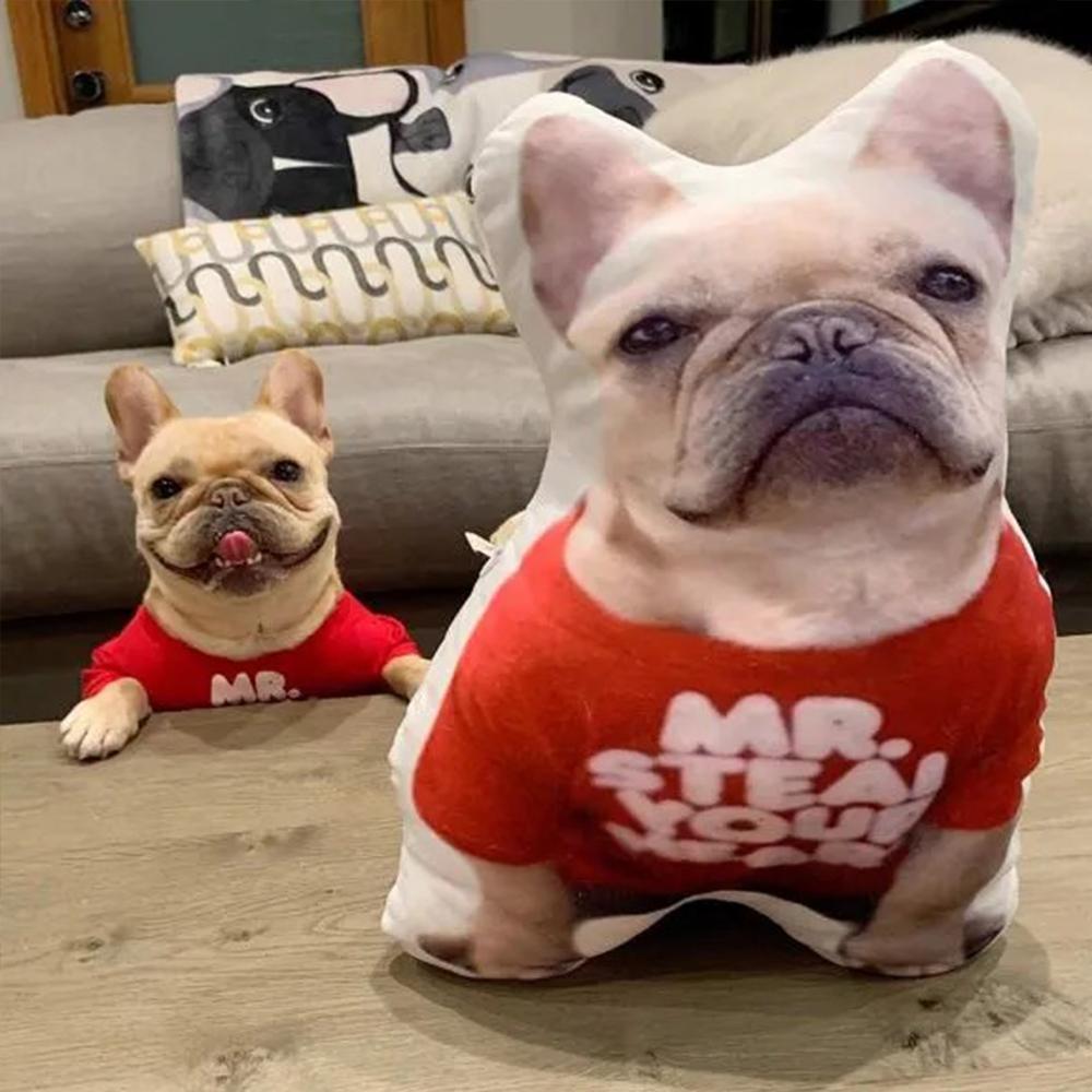 Cojines Decorativos, Regalos Para Amantes De Los Perros, Regalos Conmemorativos Para Mascotas. - GiftlabES