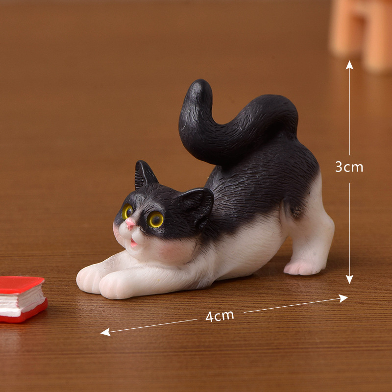Gato C - GiftlabES