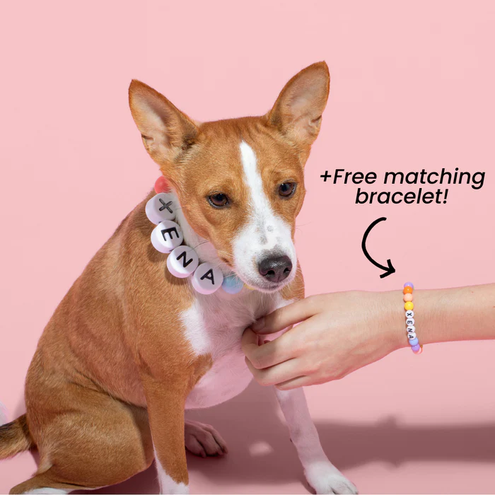 Collana Personalizzata Con Il Nome Del Tuo Animale Domestico E Braccialetto Abbinato Gratuito. - GiftlabIT