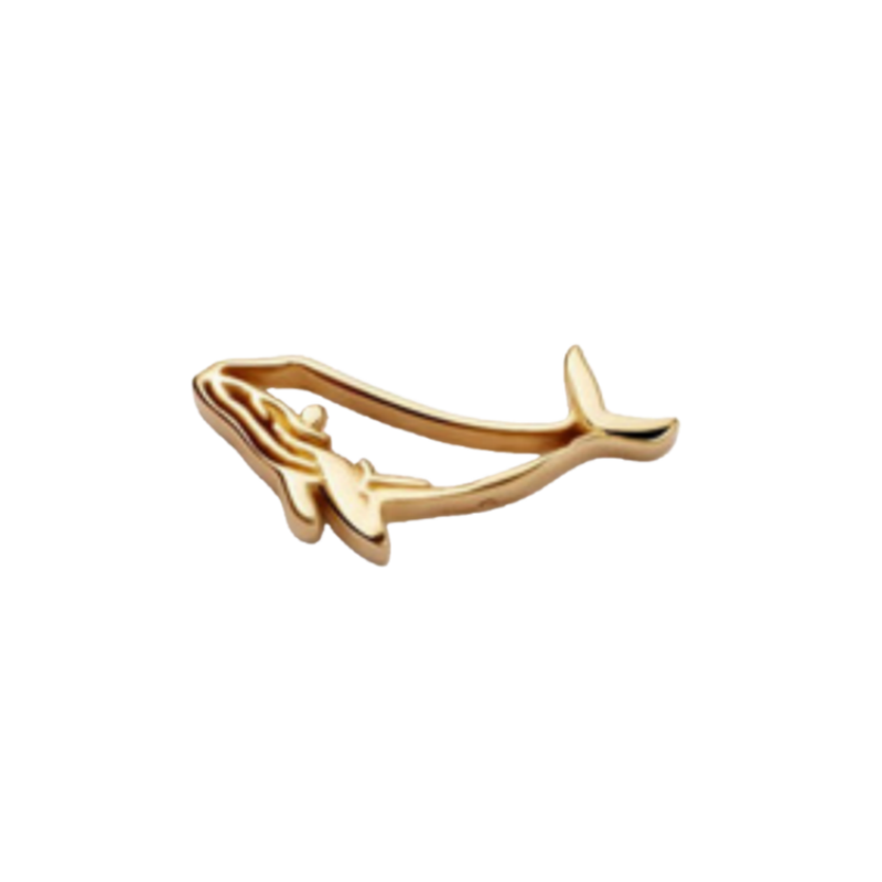 Accessori Per Collana Con Ciondolo A Forma Di Delfino - GiftlabIT