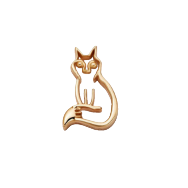 Accessori Per Collana Con Medaglione Per Gatti - GiftlabIT