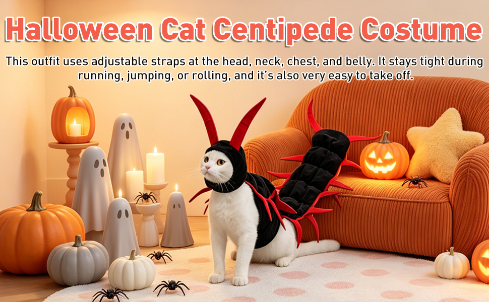 Halloween Cat Costume Centipede Outfit
