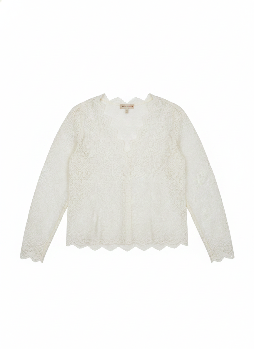 Delicate Lace Scalloped V-Neck Blouse