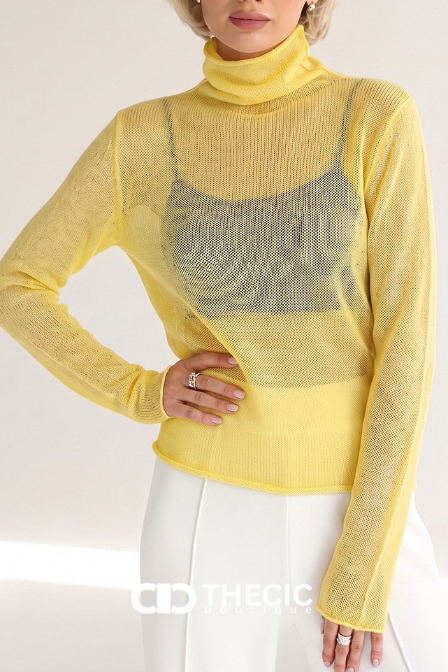 Delicate Sheer Knit Turtleneck Pullover Sweater