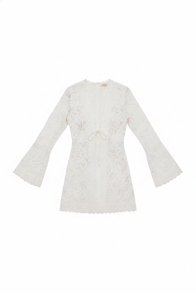 Embroidered Lace Deep V-Neck Bell Sleeve Mini Dress