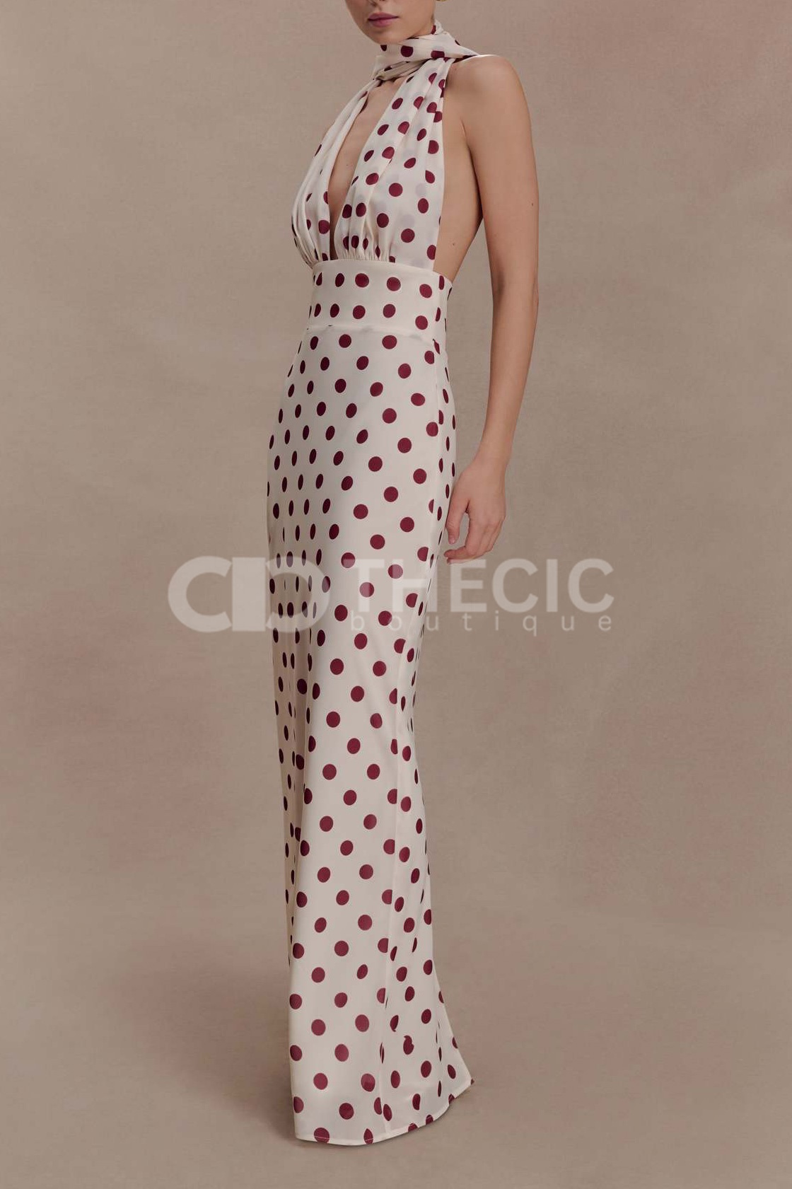 Halter Neck Plunge Backless Column Maxi Dress