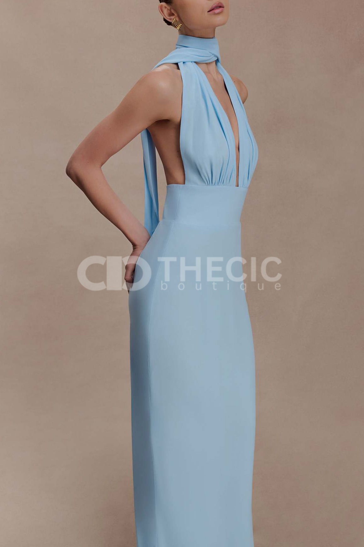 Halter Neck Plunge Backless Column Maxi Dress