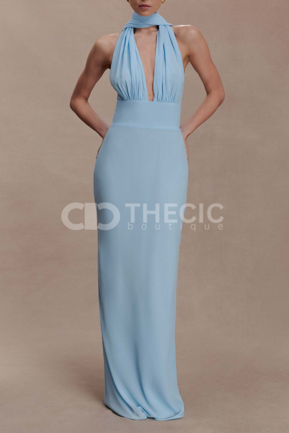 Halter Neck Plunge Backless Column Maxi Dress