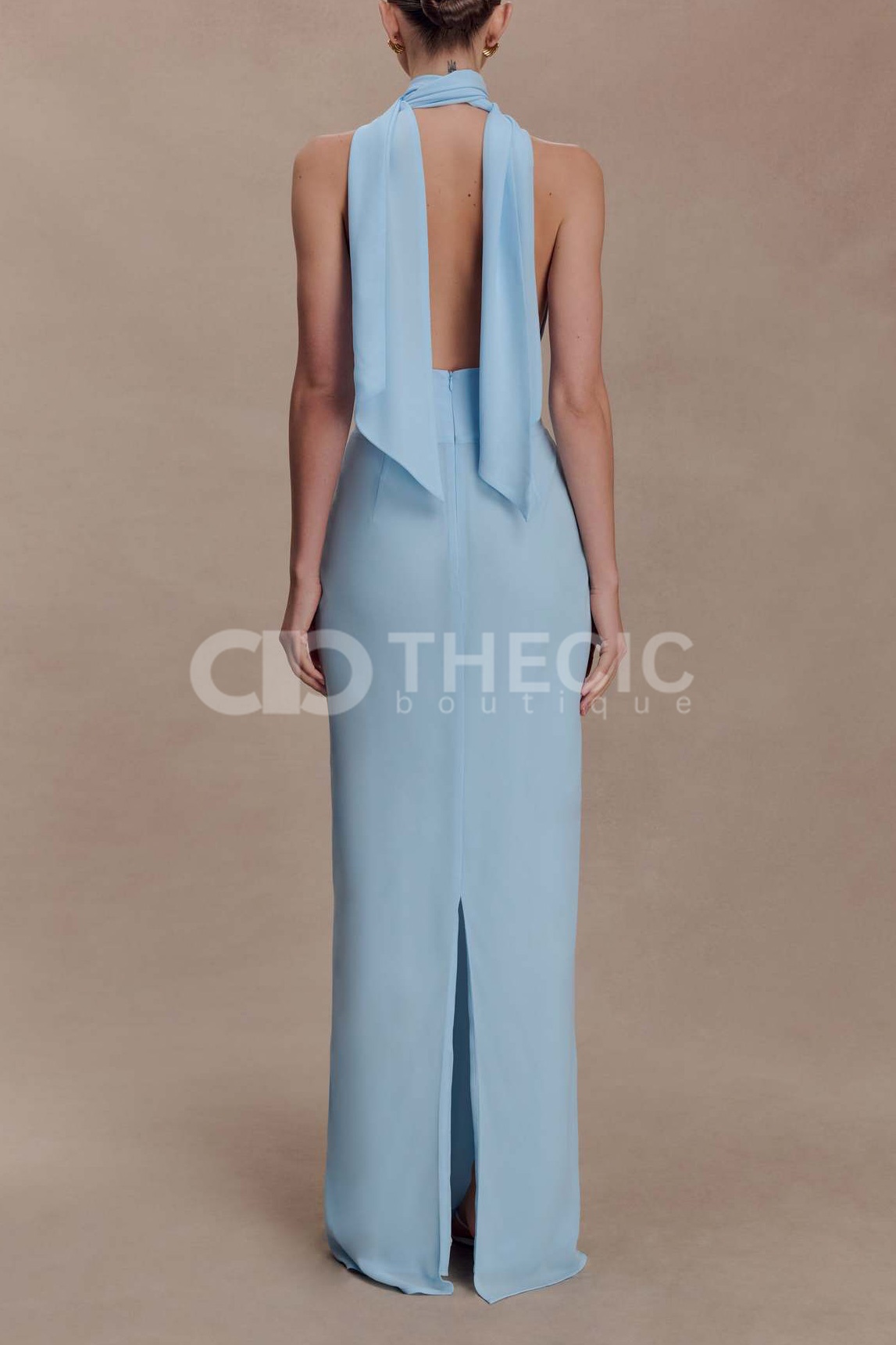 Halter Neck Plunge Backless Column Maxi Dress