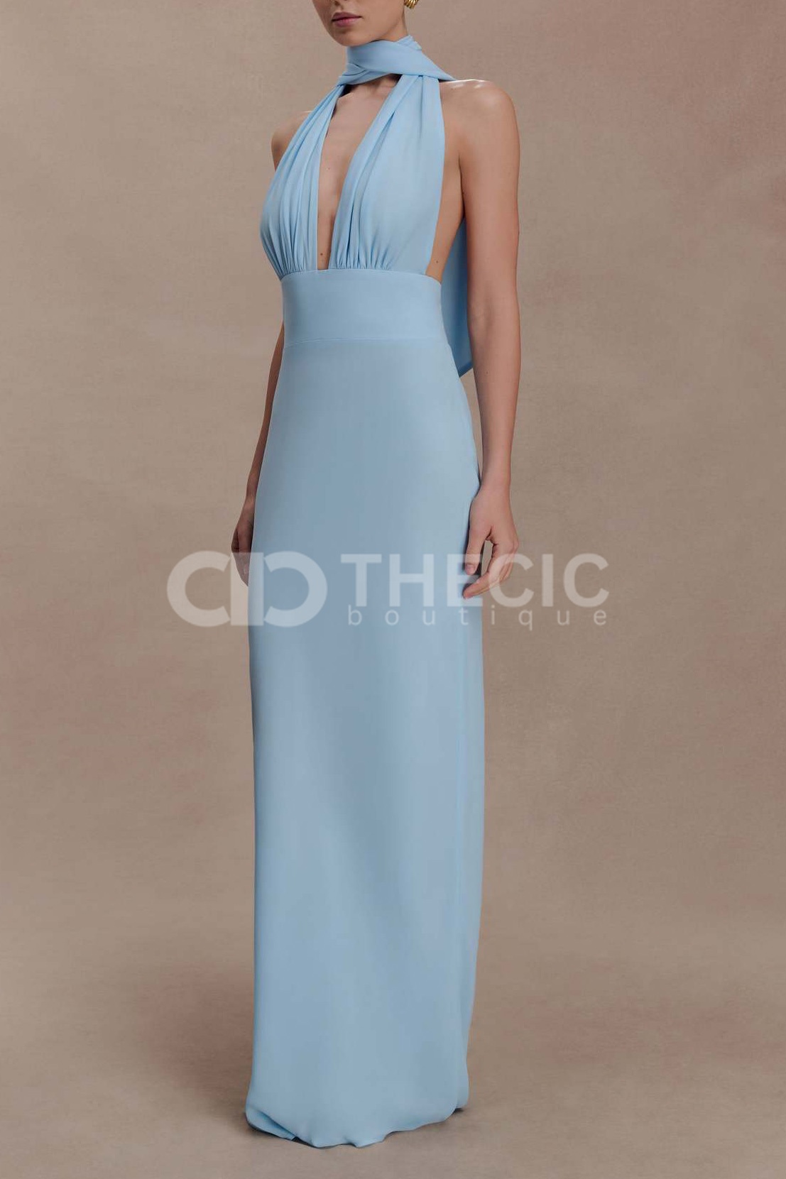 Halter Neck Plunge Backless Column Maxi Dress