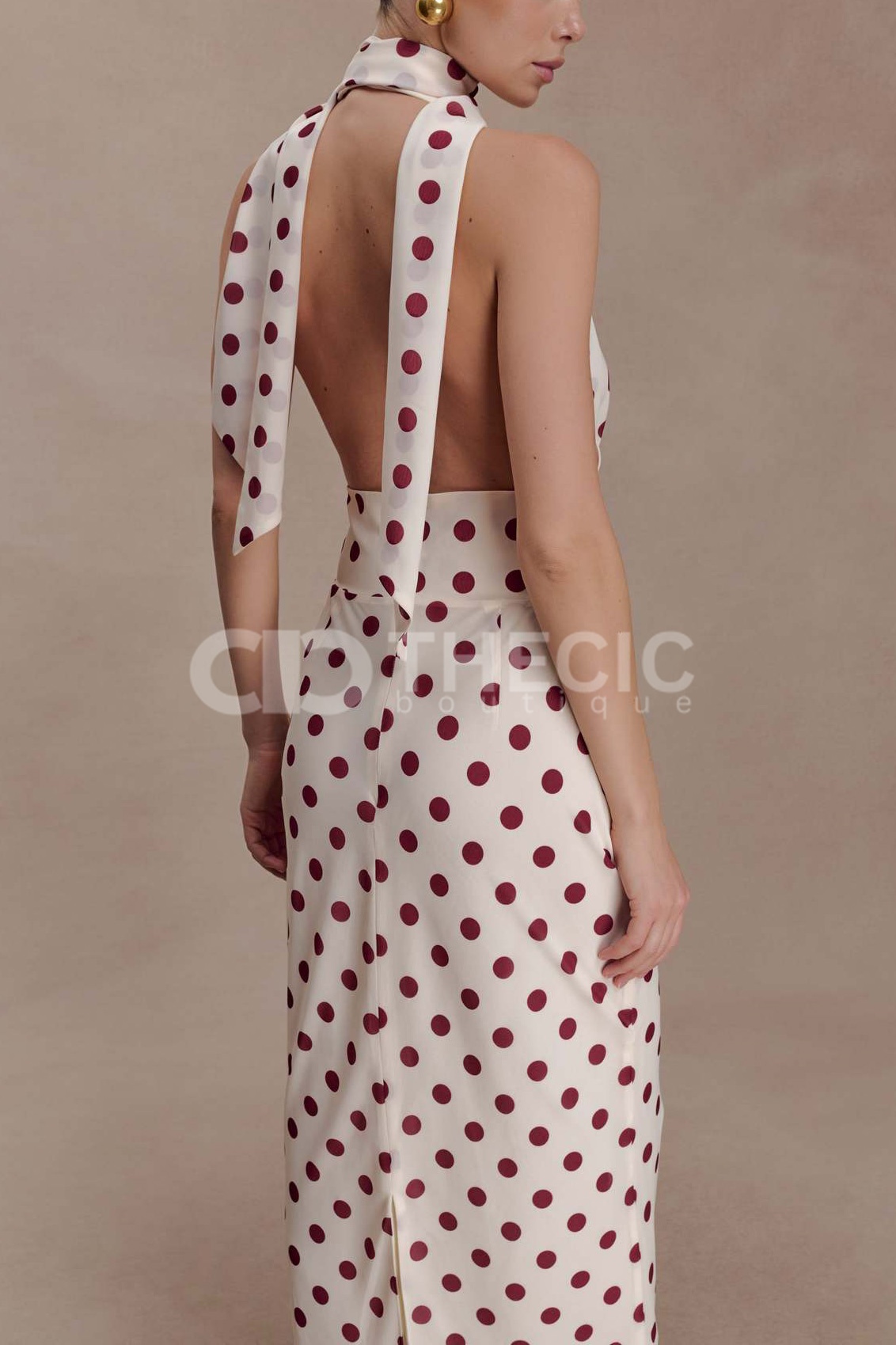 Halter Neck Plunge Backless Column Maxi Dress