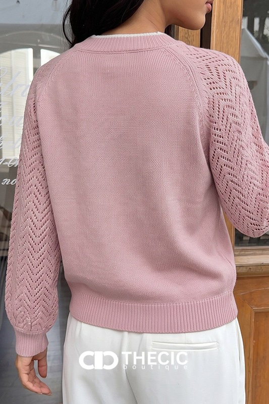 Openwork Raglan Sleeve V-Neck Knit Sweater