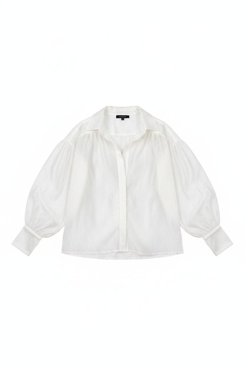 Relaxed Fit Crinkled Sheer Voluminous Sleeve Blouse