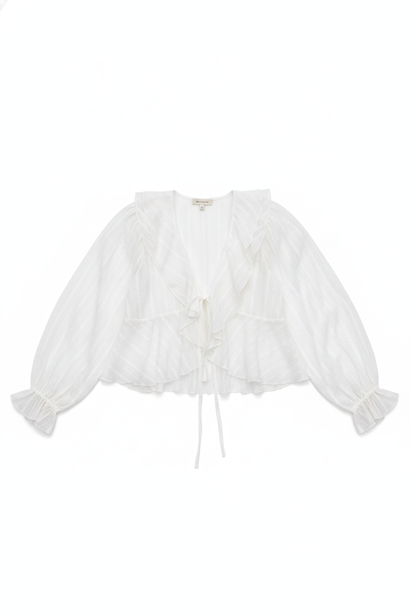 Ruffled V-Neck Tie-Front Sheer Blouse