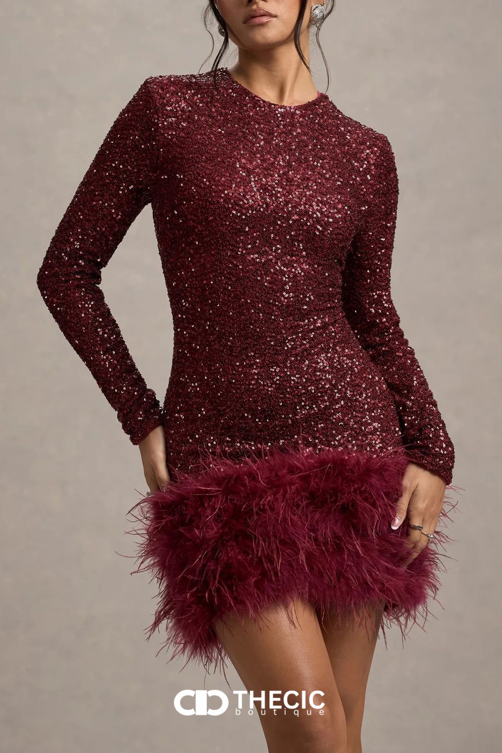 Sequin Embellished Feather Trim Long-Sleeve Mini Dress