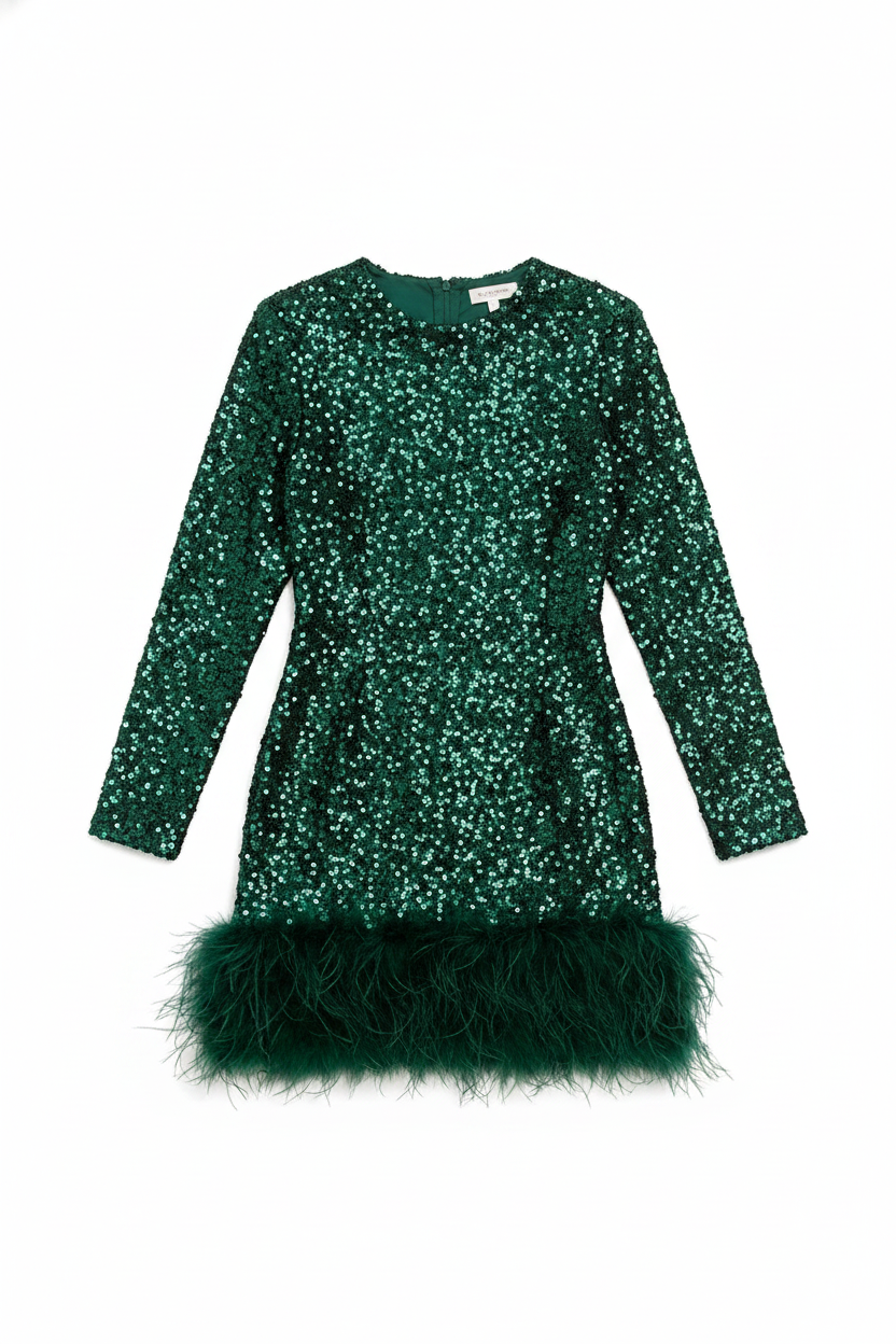 Sequin Embellished Feather Trim Long-Sleeve Mini Dress