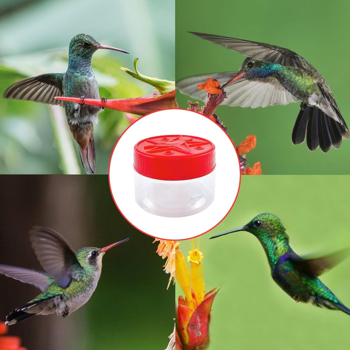 Hand Hummingbird Feeders