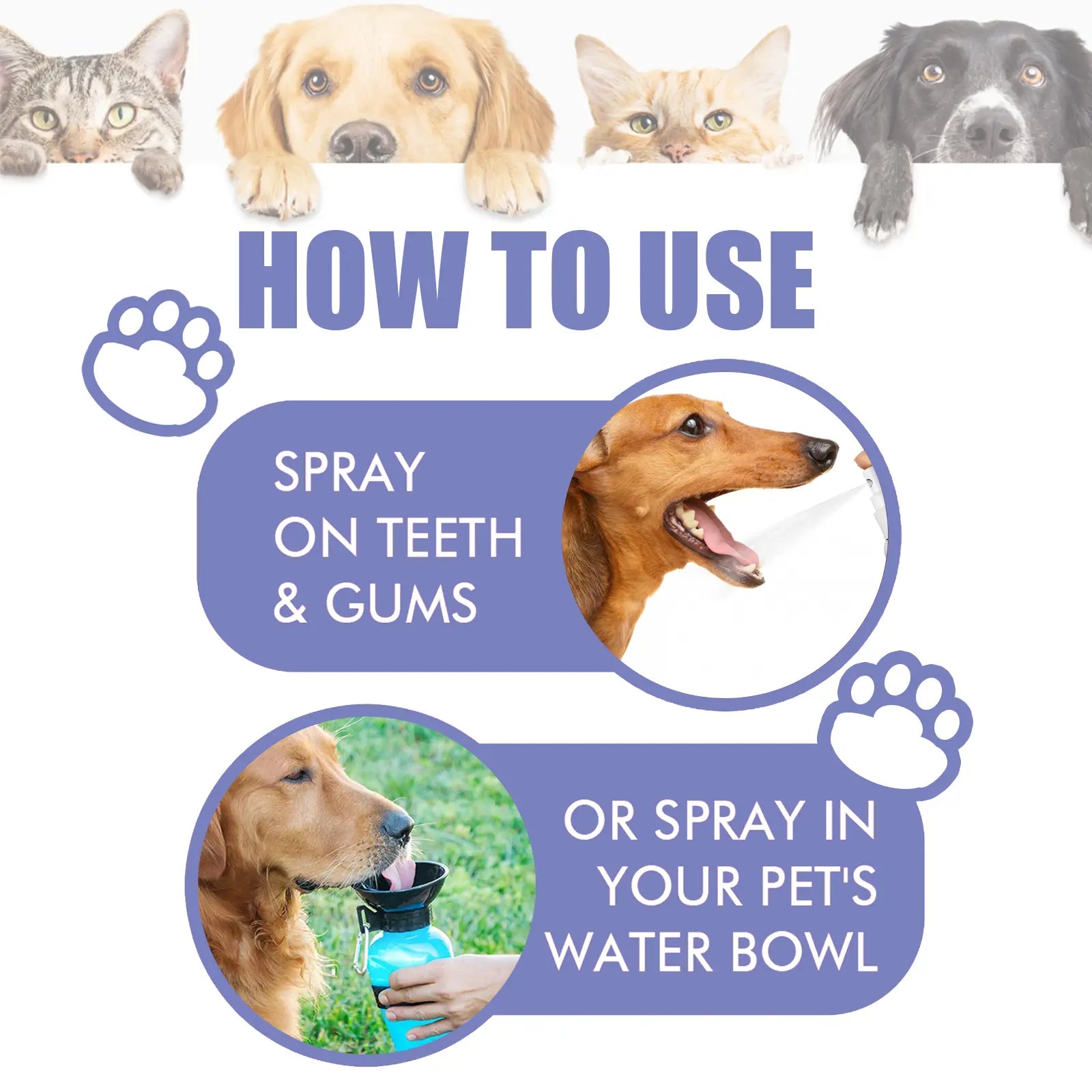 Slimmo™ Petdoir🍃No-Brushing Oral Care Spray for Dogs & Cats