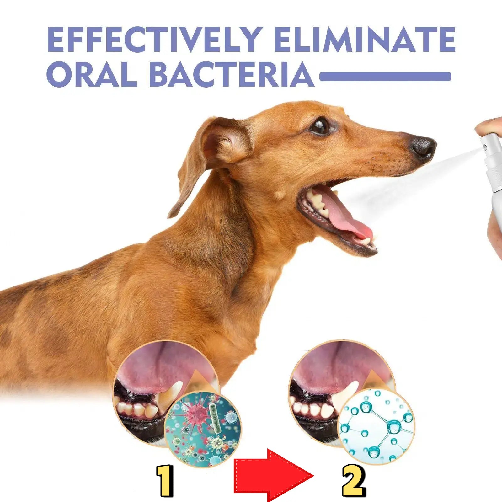 Slimmo™ Petdoir🍃No-Brushing Oral Care Spray for Dogs & Cats