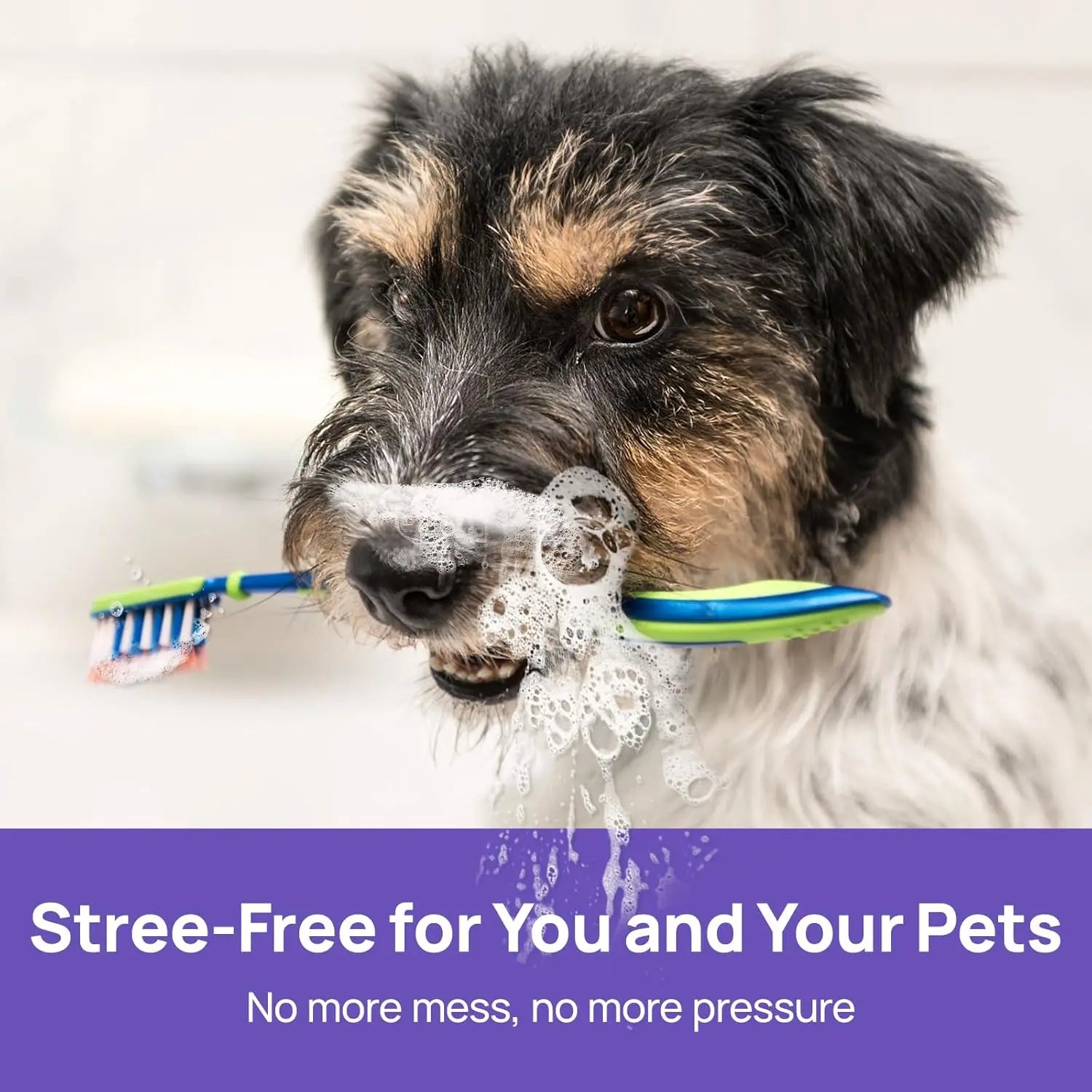 Slimmo™ Petdoir🍃No-Brushing Oral Care Spray for Dogs & Cats