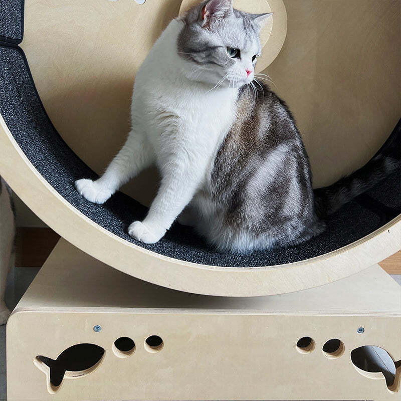 ❤️The Best Gift For Your Cats
