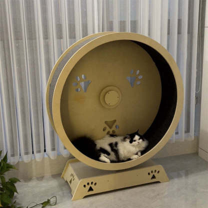 ❤️The Best Gift For Your Cats