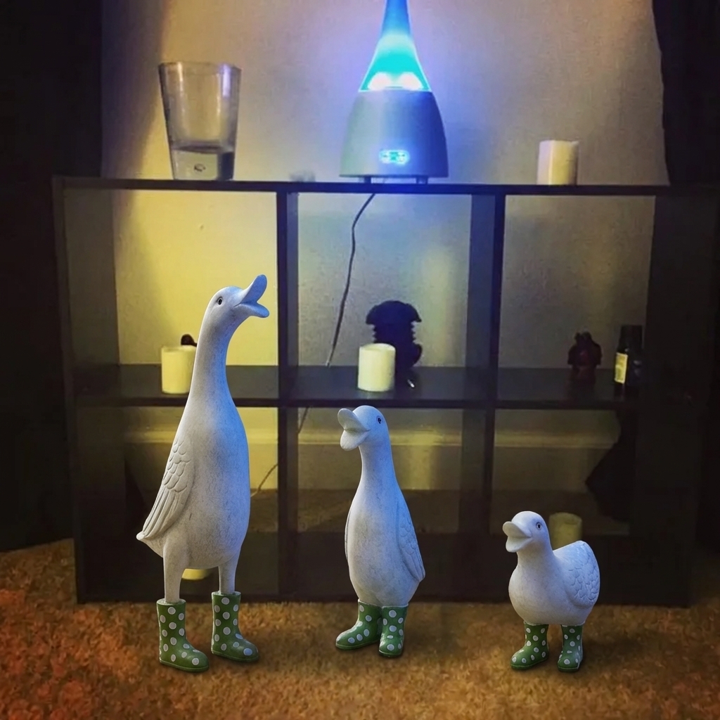 Ducks Family wearing polka-dot rain boots