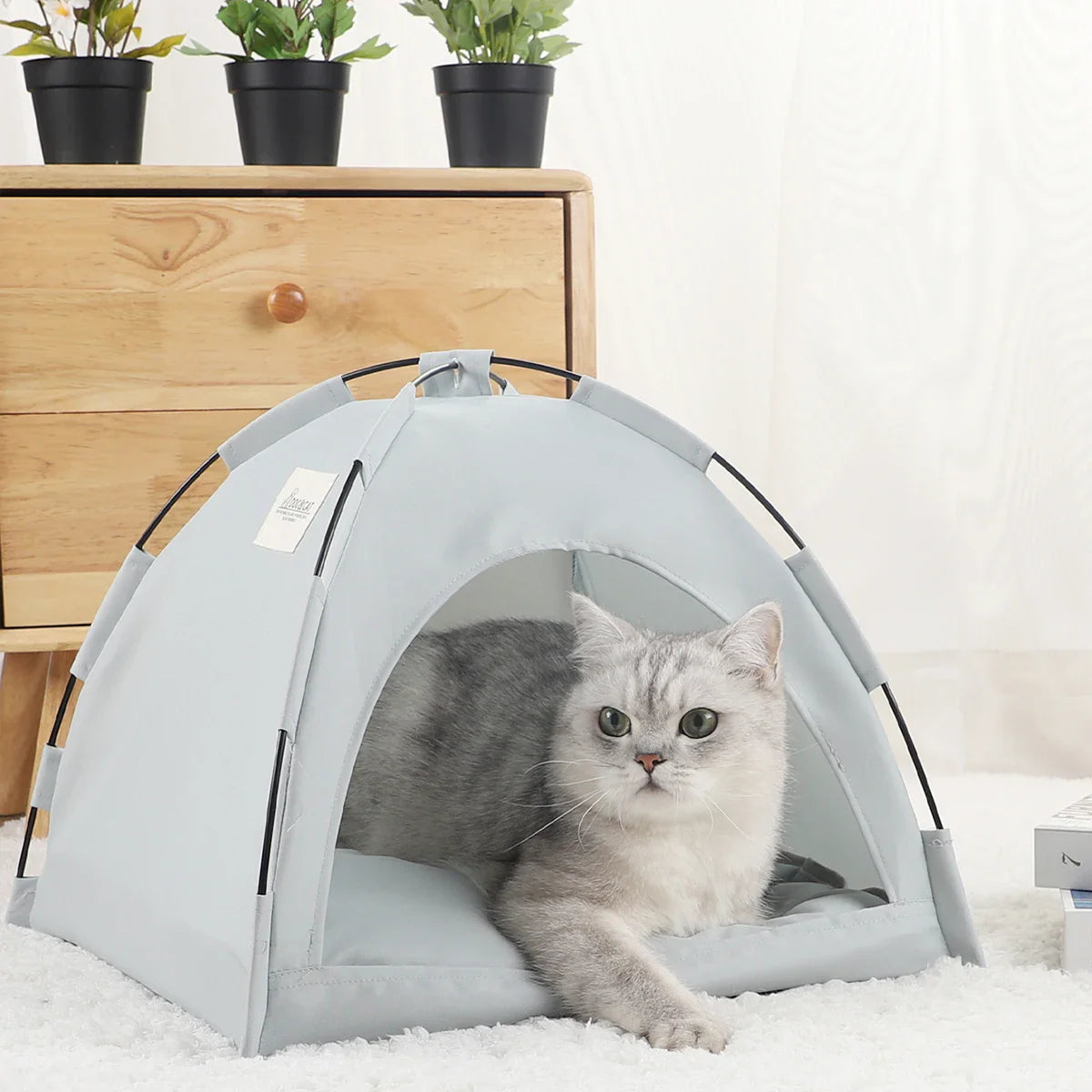 Cute Cat Dog Tent-ChicWoo