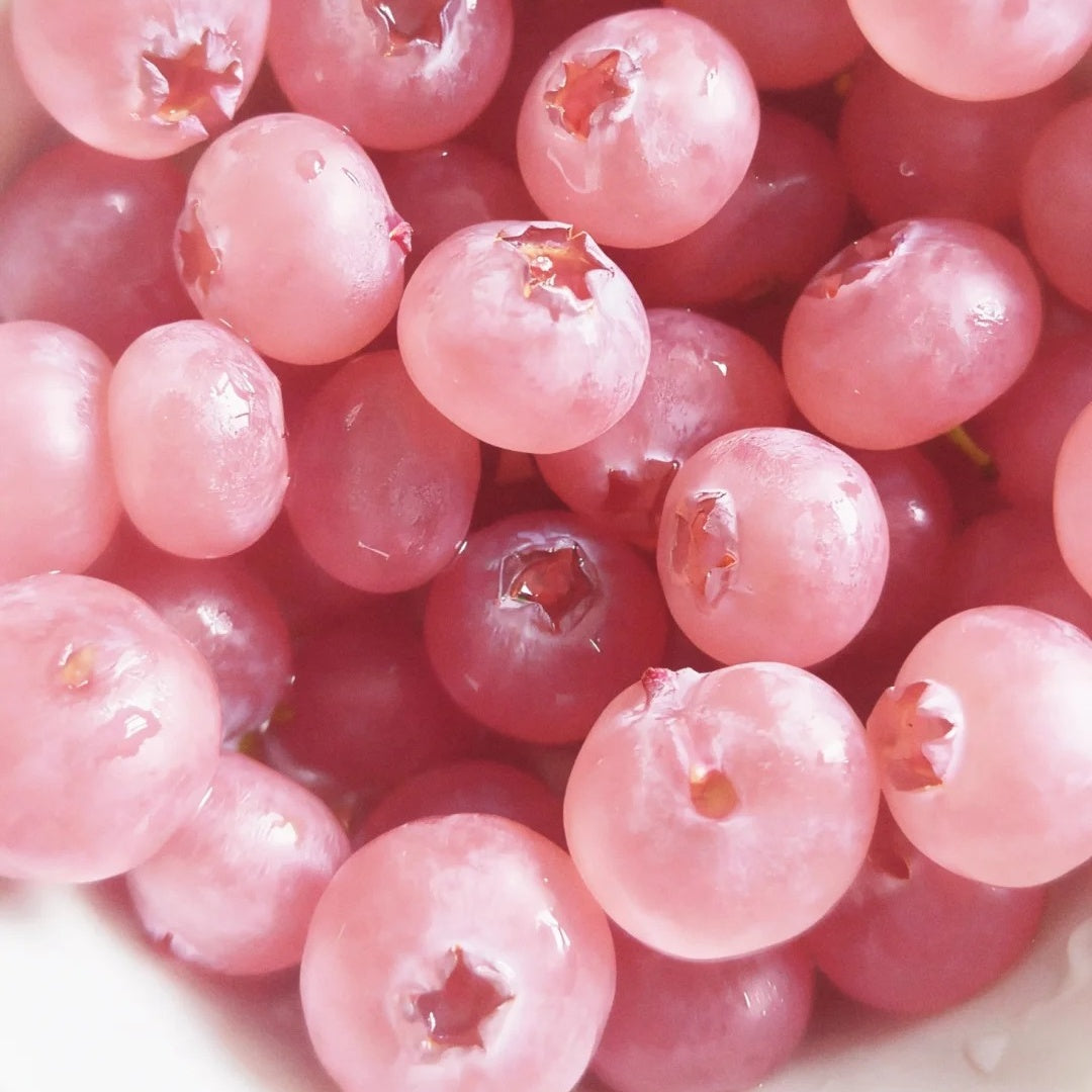 🌟Semena obřích borůvek – mix modrých a růžových odrůd pro vaši zahradu ✨