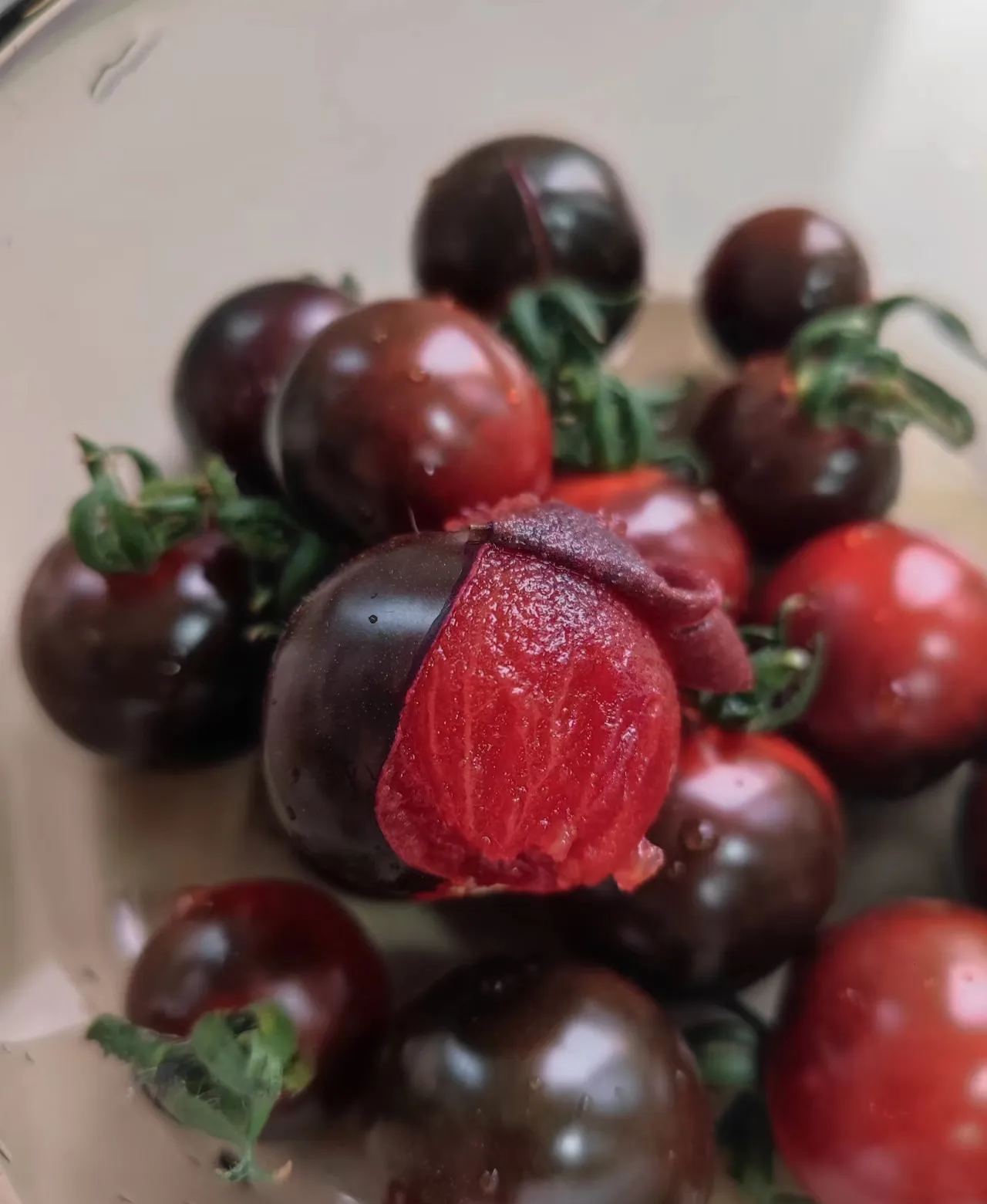 Černá rajčata - Černá kráska 🍅 – S vysokou klíčivostí 98%!