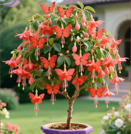 🦋✨ Golden Butterfly Vine Seeds – Create a Waterfall of Blooms! 🌿💛
