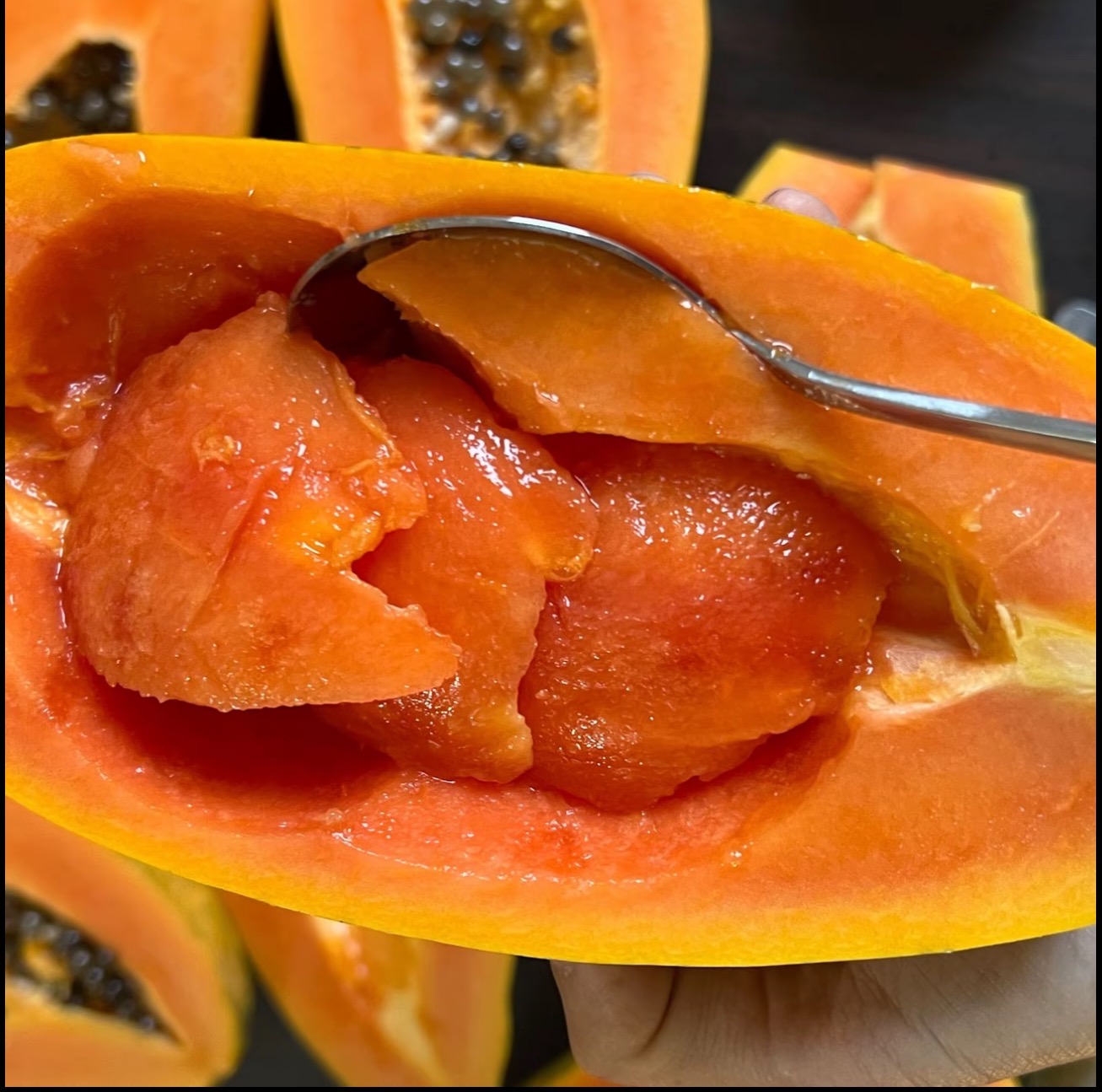 🥭 Semienka zlatého mliečneho papáje: jemná dužina, veľké a sladké plody