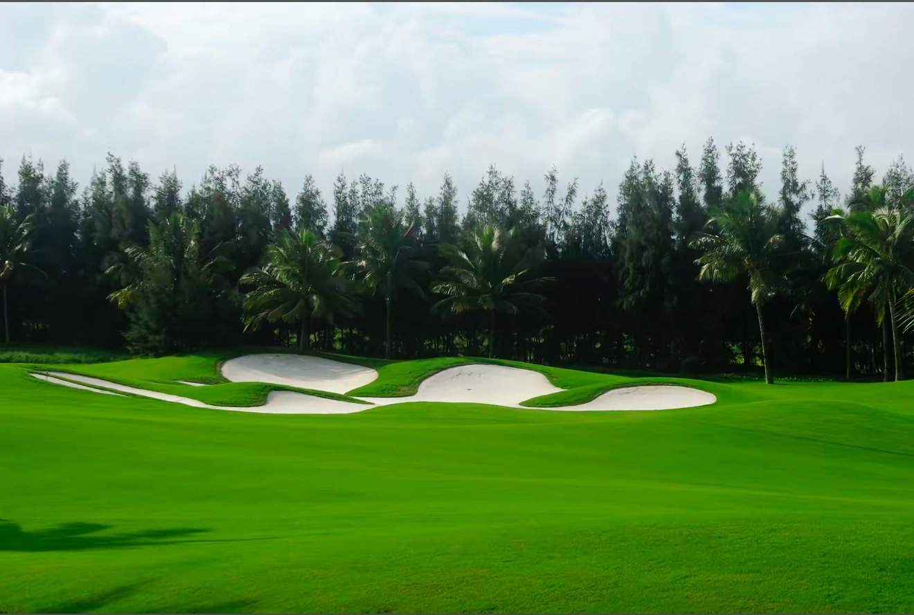 Semená trávy, ktoré netreba kosiť. Mrazuvzdorné a vždy zelené.Univerzálne semená trávy: Zneste všetko! Sucho, slnko aj deti. Zelené po celý rok.