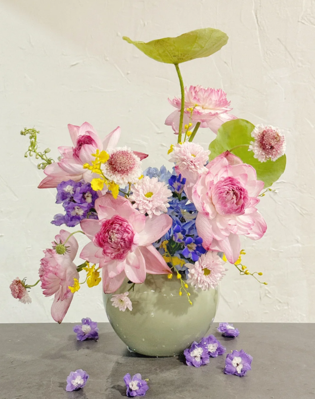 Nasiona kwiatów🌺