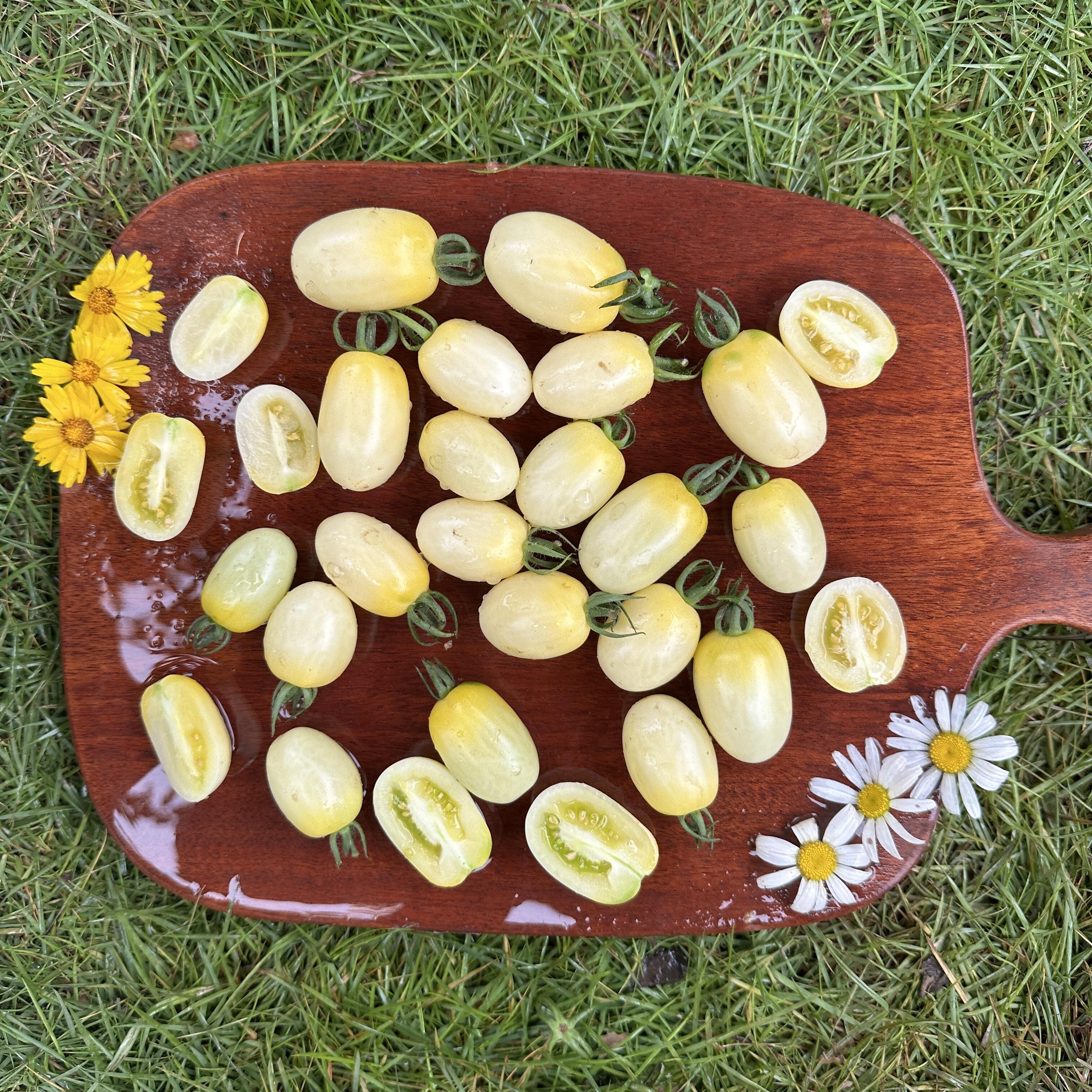 🍅Italian Ice Cherry Tomato Seeds-Exclusive to Our Store 🌸