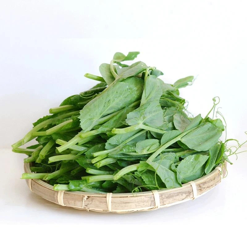 Pea Serge Seeds - Pea Shoots