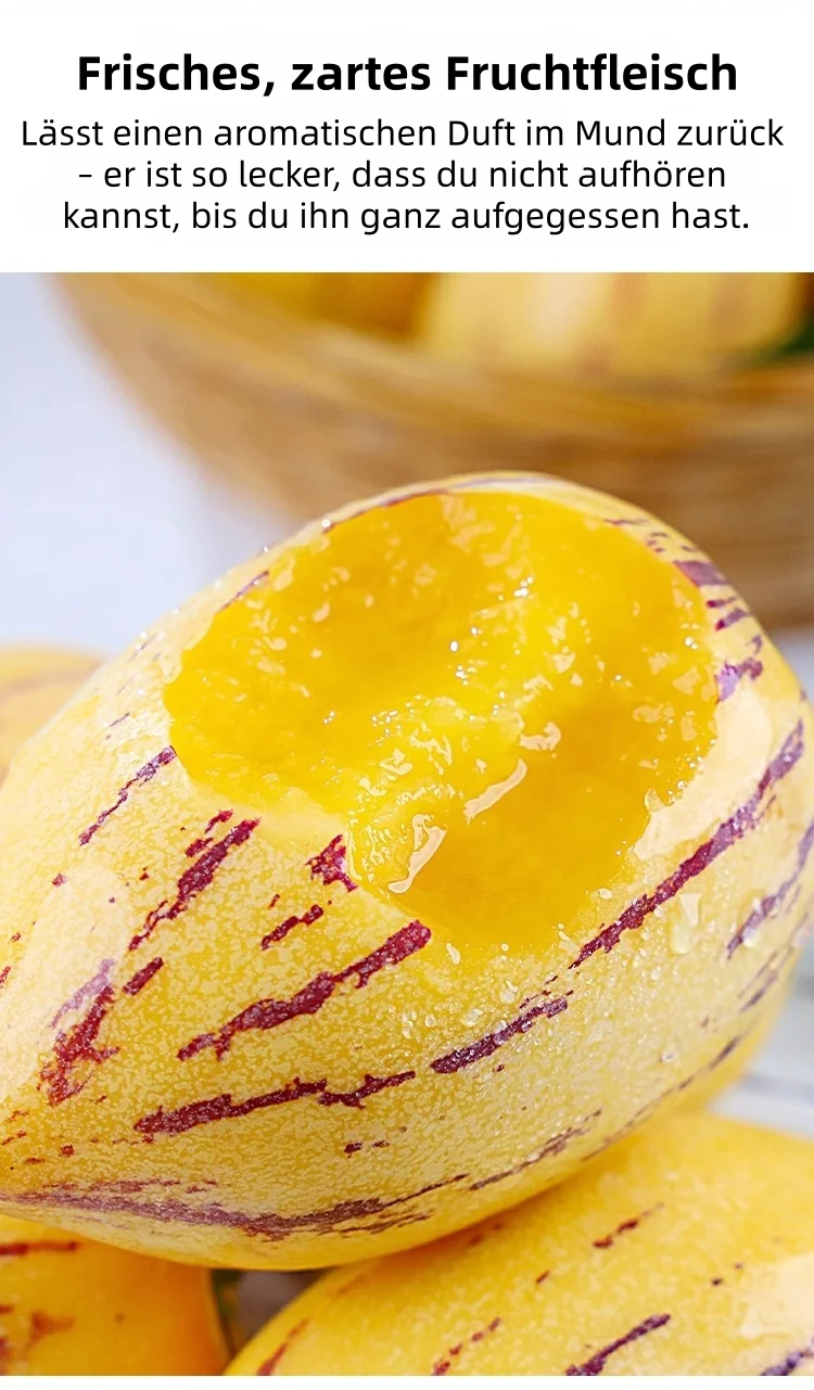 🎁30% Rabatt🍐🍐Pepinos-Samen (Melonen-Birnen)