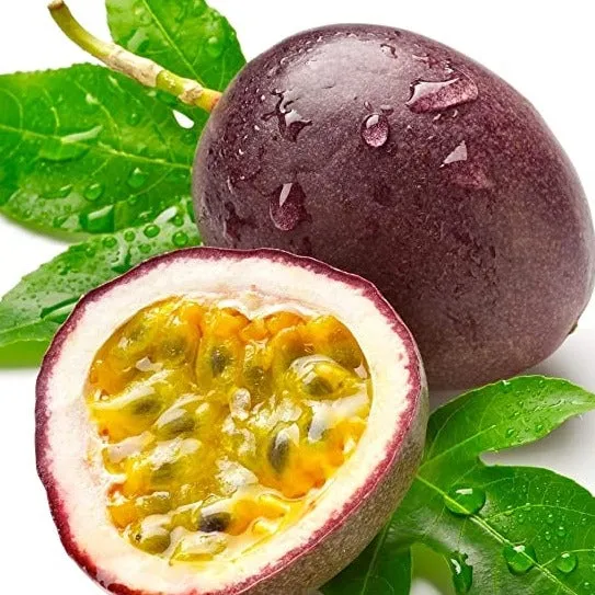 🍍 Passionsfruchtsamen – Hol dir den Urlaub nach Hause!